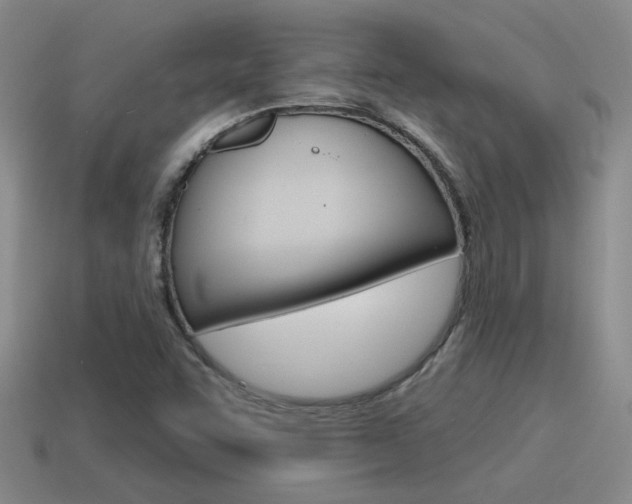 X0000115591455200911100921
