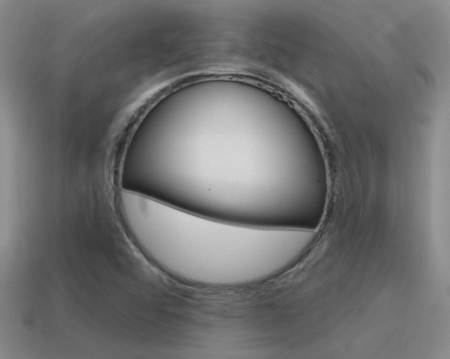 X0000115591456200911100921