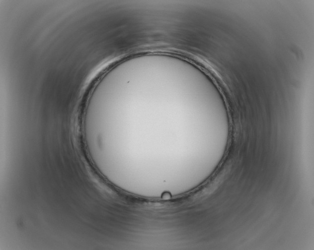 X0000115591458200911100921