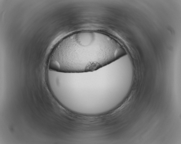 X0000115591459200911100921