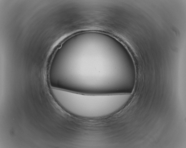 X0000115591460200911100921
