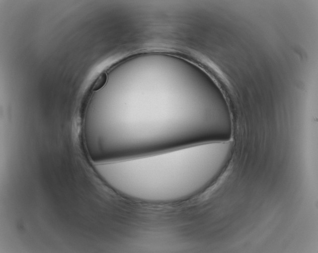 X0000115591461200911100921