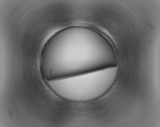 X0000115591463200911100921