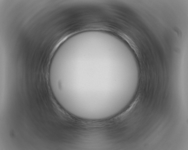 X0000115591465200911100921