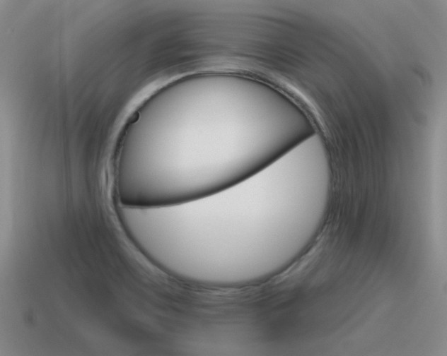 X0000115591467200911100921