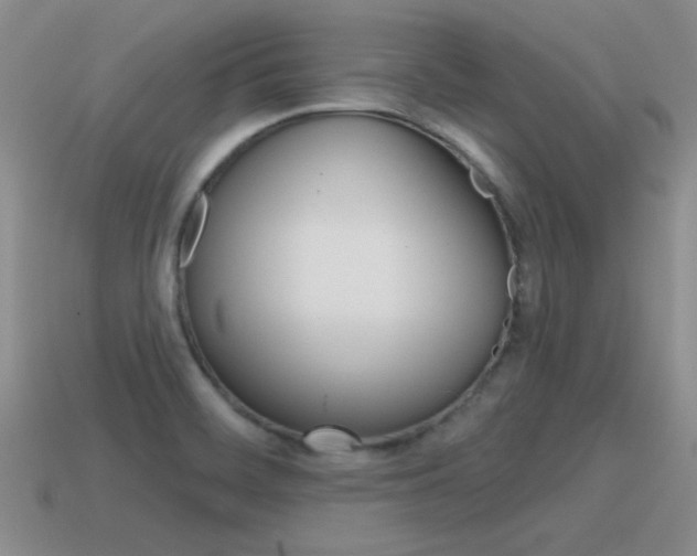 X0000115591468200911100921