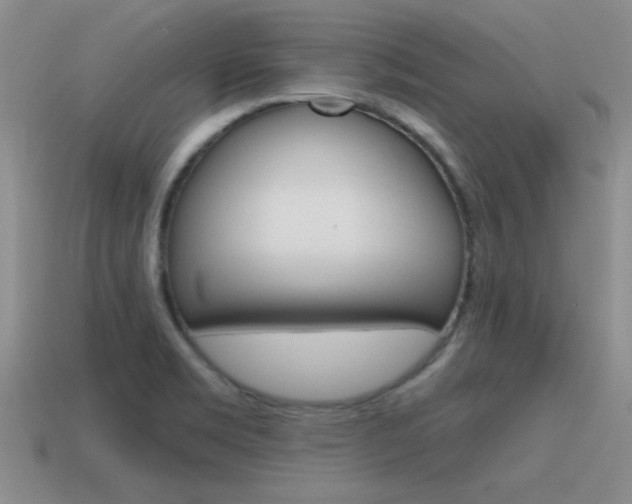 X0000115591469200911100921
