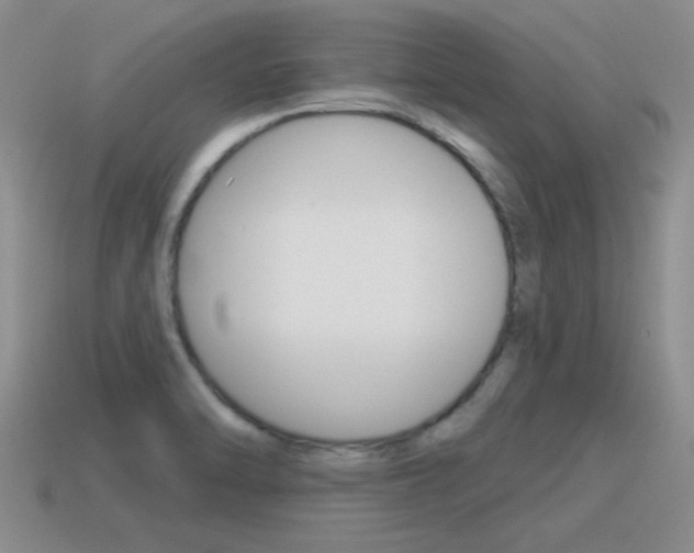 X0000115591470200911100921