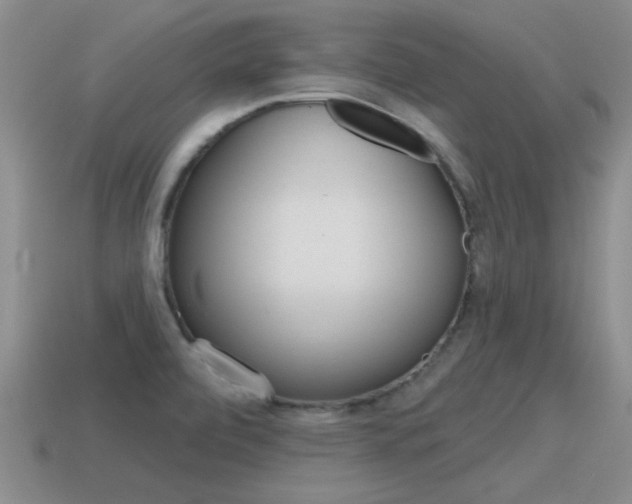 X0000115591472200911100921
