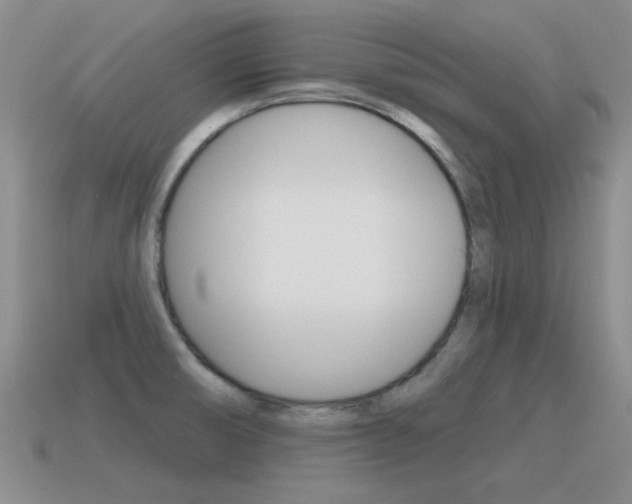 X0000115591474200911100921