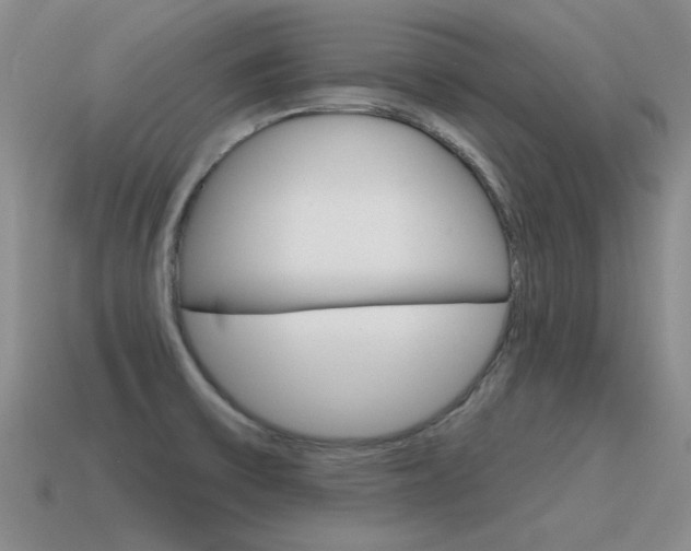 X0000115591475200911100921