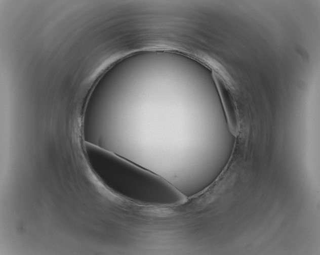 X0000115591476200911100921