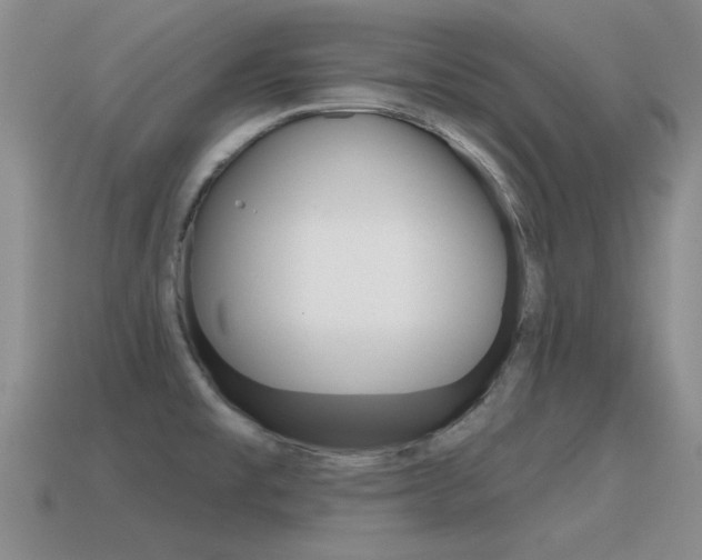 X0000115591477200911100921