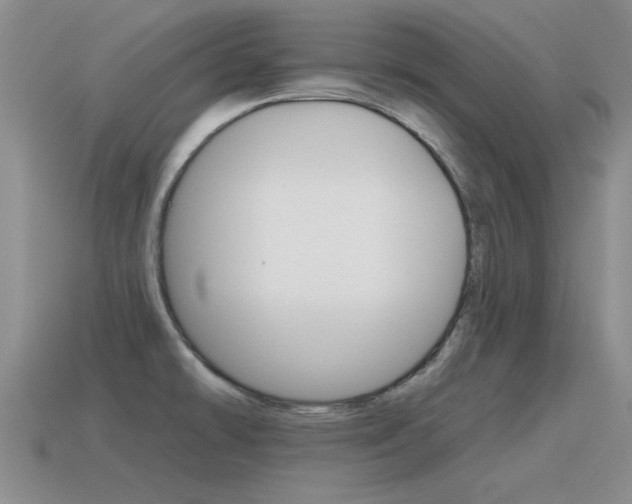 X0000115591478200911100921