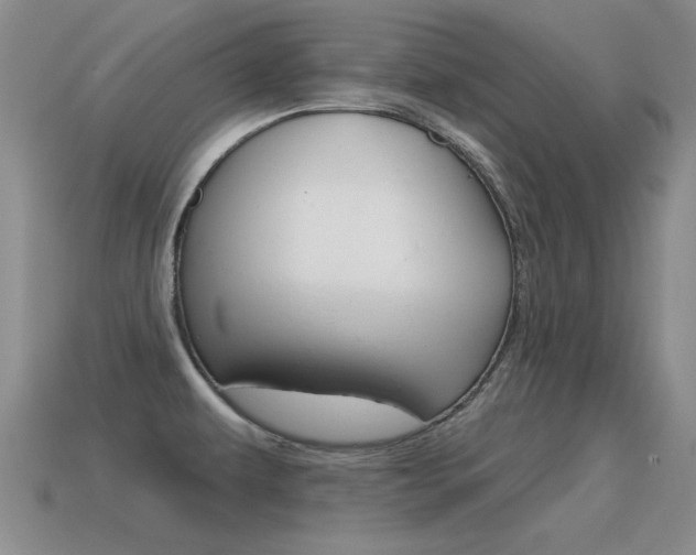 X0000115591479200911100921