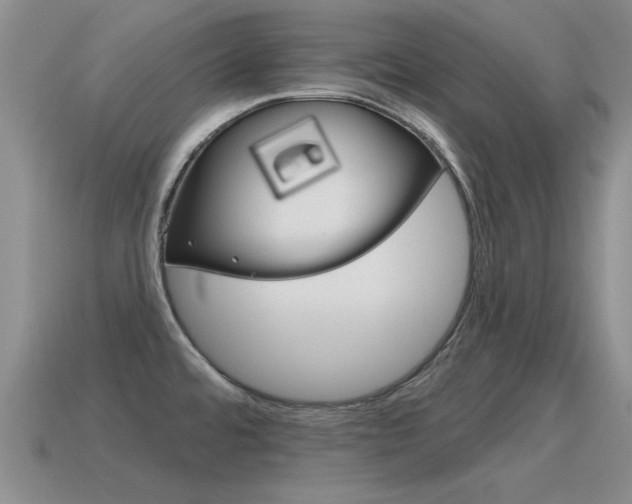 X0000115591480200911100921