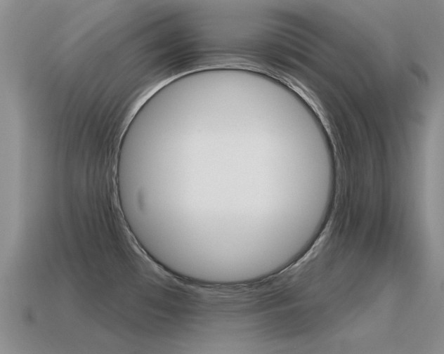 X0000115591481200911100921