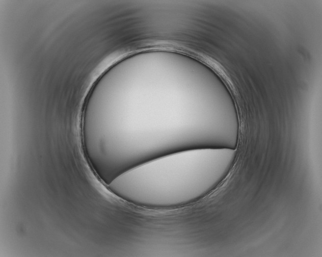 X0000115591482200911100921