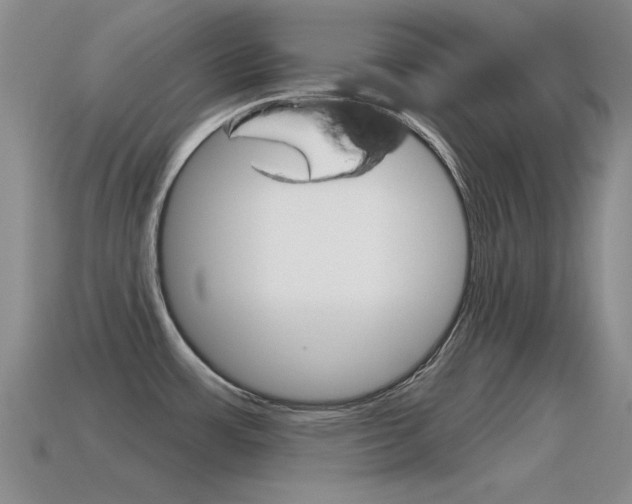 X0000115591483200911100921