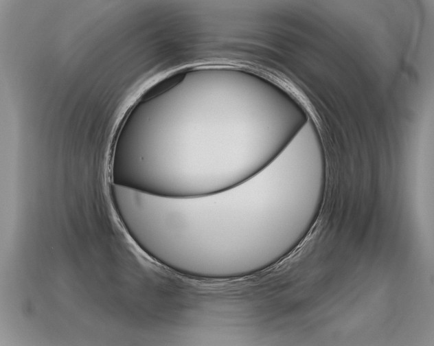 X0000115591485200911100921