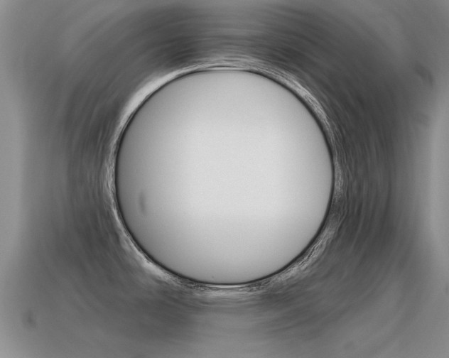 X0000115591486200911100921