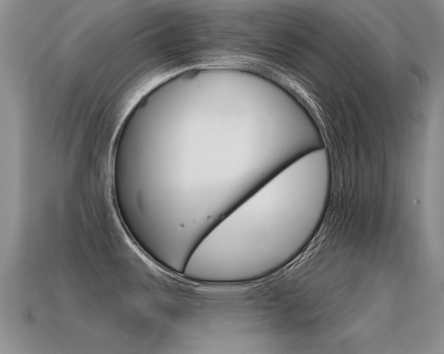 X0000115591487200911100921