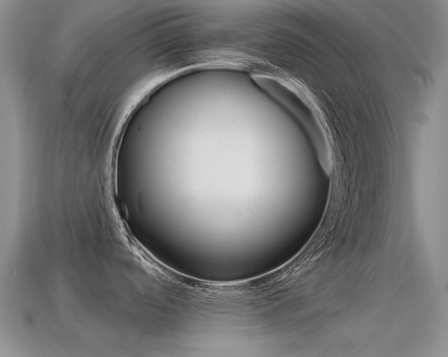 X0000115591488200911100921