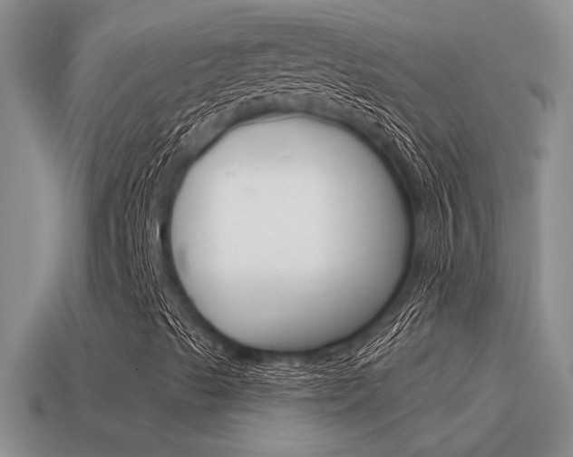X0000115591489200911100920