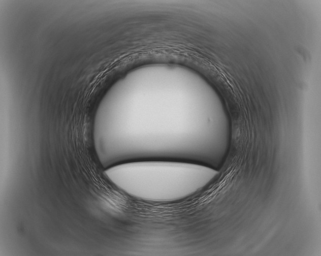 X0000115591490200911100920
