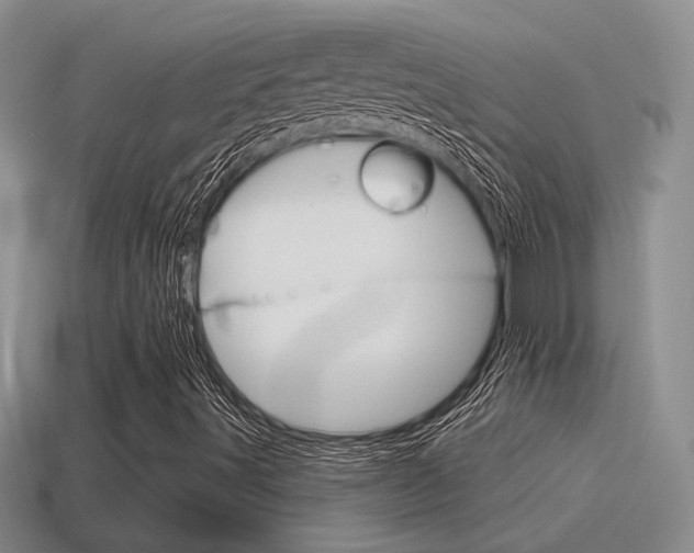 X0000115591491200911100920
