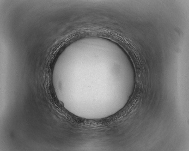 X0000115591493200911100920