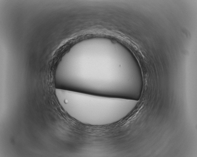 X0000115591494200911100920