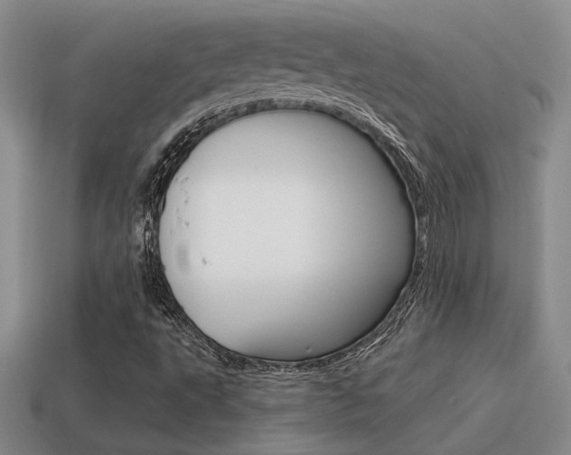 X0000115591495200911100920