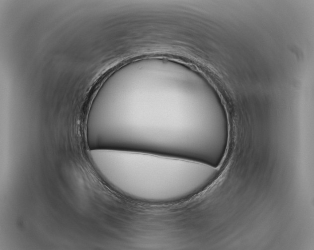 X0000115591497200911100920