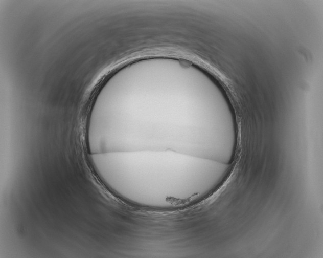 X0000115591498200911100920