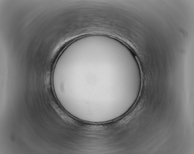 X0000115591499200911100920