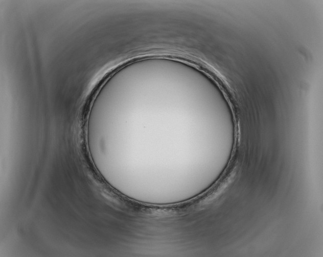 X0000115591501200911100920