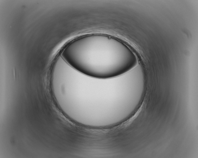 X0000115591502200911100920