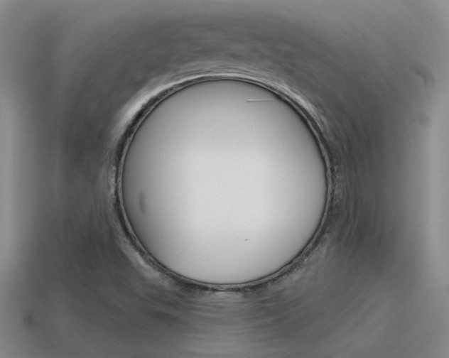 X0000115591503200911100920