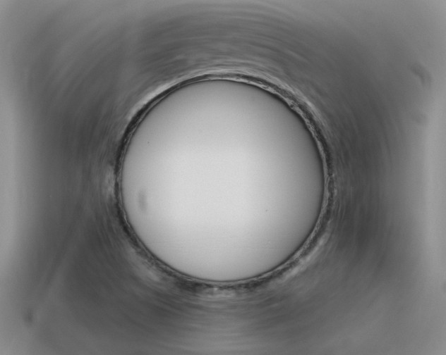 X0000115591505200911100920