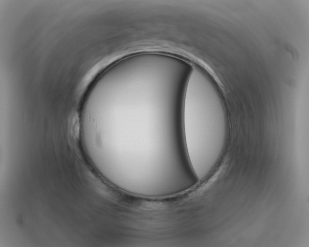X0000115591509200911100920