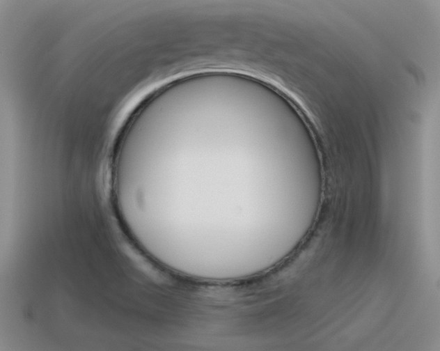 X0000115591511200911100920