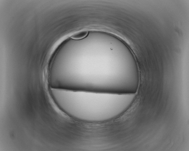 X0000115591515200911100920