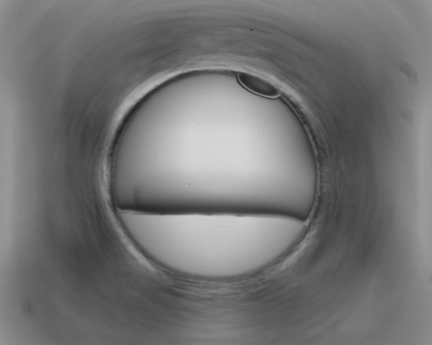 X0000115591517200911100920