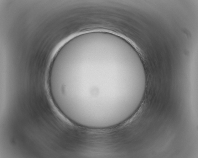 X0000115591518200911100920