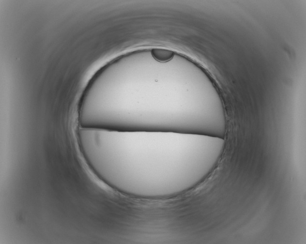 X0000115591519200911100920