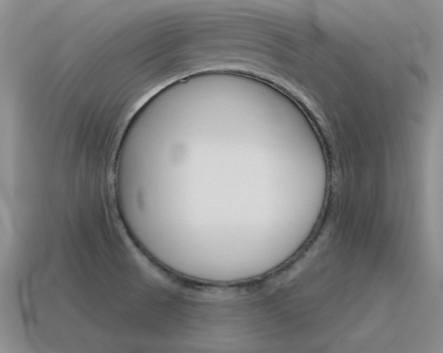 X0000115591521200911100920