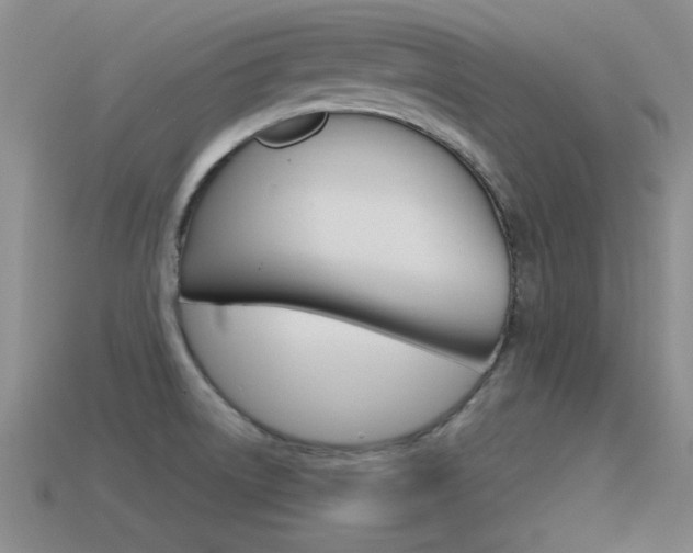 X0000115591522200911100920