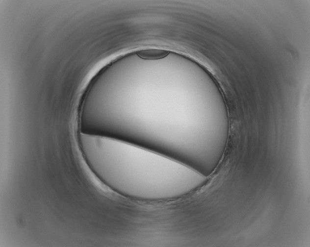 X0000115591523200911100920