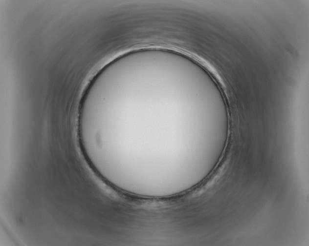 X0000115591525200911100920